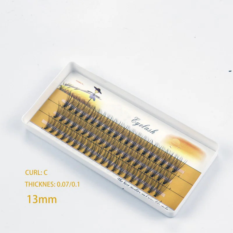 1 Box/60 Bunches Mink Eyelashes Natural 3D Russian Individual Eyelash extension 10D Eyelash cluster Makeup Tool Lashes Wholesale