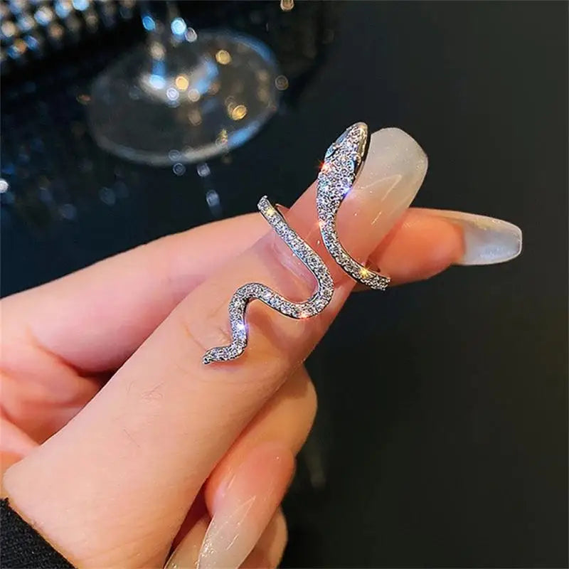 RAKOL Snake Ring Micro Inlaid Zircon Wound Small Female Simplicity Minority Designer Fashion Index Finger Ring