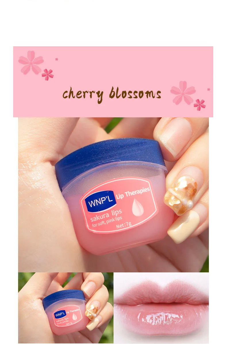 8/6/4/1PCs Lip Balm Moisturizing Lipstick Base Moisturizer Makeup Natural Plant Anti-Cracking Lip Care Petroleum Jelly Lip Balm