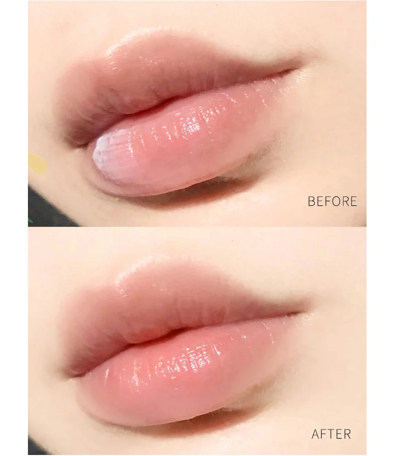 8/6/4/1PCs Lip Balm Moisturizing Lipstick Base Moisturizer Makeup Natural Plant Anti-Cracking Lip Care Petroleum Jelly Lip Balm